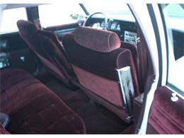 1986 Chevrolet Caprice (CC-1042744) for sale in Lakeland, Florida