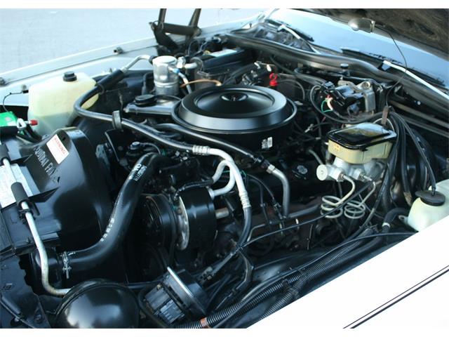 1986 Chevrolet Caprice (CC-1042744) for sale in Lakeland, Florida