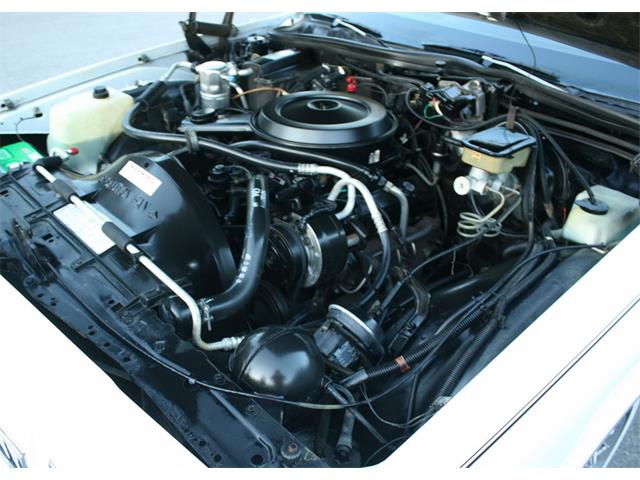 1986 Chevrolet Caprice (CC-1042744) for sale in Lakeland, Florida