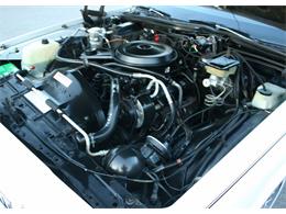 1986 Chevrolet Caprice (CC-1042744) for sale in Lakeland, Florida