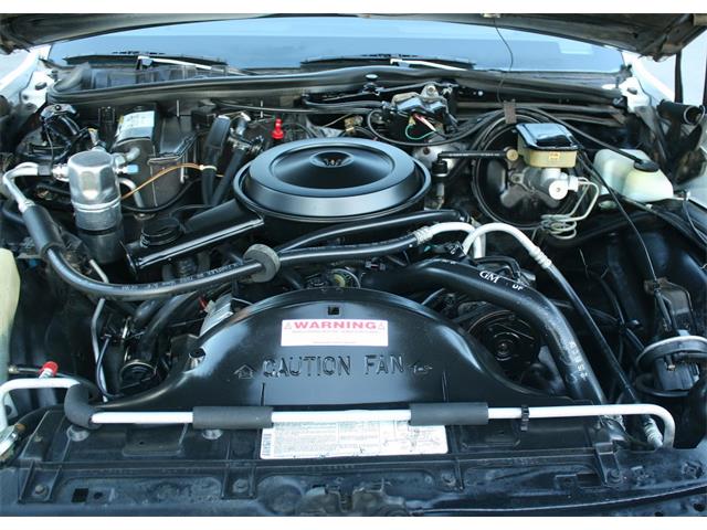 1986 Chevrolet Caprice (CC-1042744) for sale in Lakeland, Florida