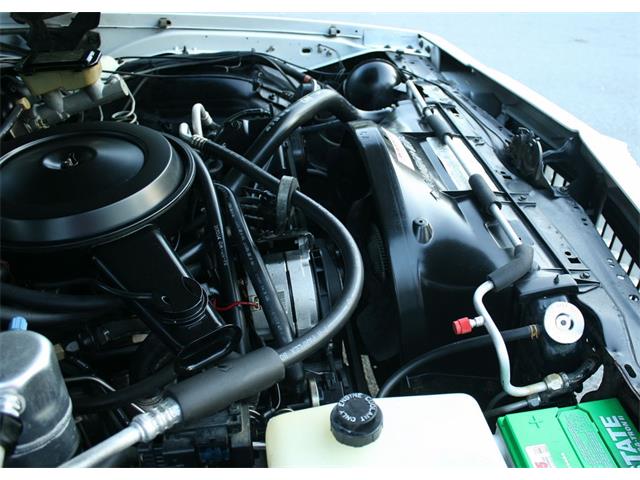 1986 Chevrolet Caprice (CC-1042744) for sale in Lakeland, Florida