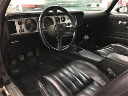1976 Pontiac Firebird Trans Am (CC-1042929) for sale in Malone, New York