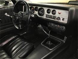 1976 Pontiac Firebird Trans Am (CC-1042929) for sale in Malone, New York