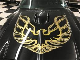 1976 Pontiac Firebird Trans Am (CC-1042929) for sale in Malone, New York