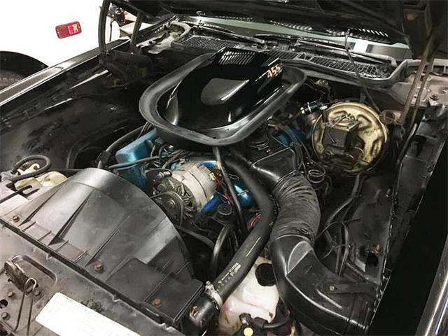 1976 Pontiac Firebird Trans Am (CC-1042929) for sale in Malone, New York