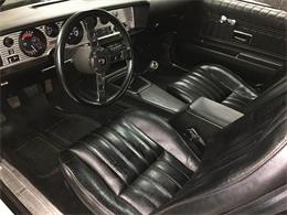 1976 Pontiac Firebird Trans Am (CC-1042929) for sale in Malone, New York