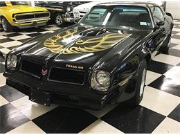1976 Pontiac Firebird Trans Am (CC-1042929) for sale in Malone, New York