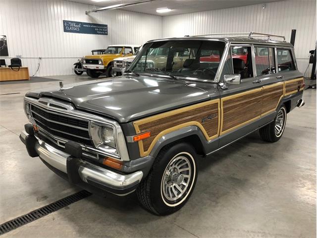 1989 Jeep Wagoneer (CC-1043313) for sale in Holland , Michigan