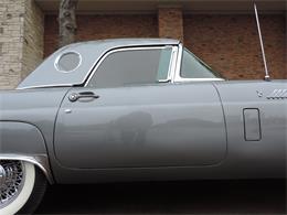 1956 Ford Thunderbird (CC-1043424) for sale in Dallas, Texas