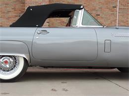 1956 Ford Thunderbird (CC-1043424) for sale in Dallas, Texas