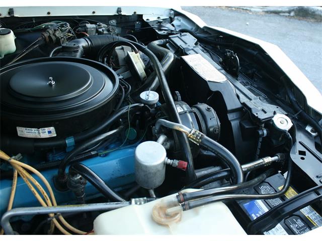 1980 Buick Riviera (CC-1043517) for sale in lakeland, Florida