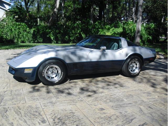 1981 Chevrolet Corvette (CC-1043885) for sale in Punta Gorda, Florida