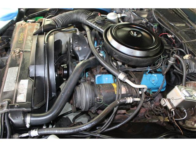 1978 Chevrolet Camaro Z28 (CC-1044035) for sale in Henderson, Nevada