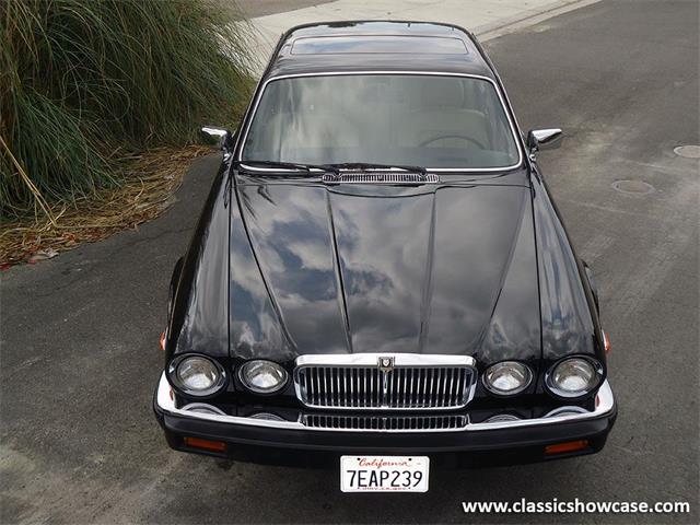 1985 Jaguar XJ6 (CC-1044105) for sale in Naples, Florida