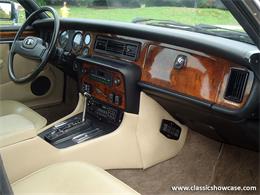 1985 Jaguar XJ6 (CC-1044105) for sale in Naples, Florida