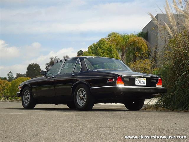 1985 Jaguar XJ6 (CC-1044105) for sale in Naples, Florida