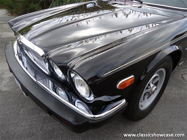 1985 Jaguar XJ6 (CC-1044105) for sale in Naples, Florida