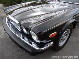 1985 Jaguar XJ6 (CC-1044105) for sale in Naples, Florida