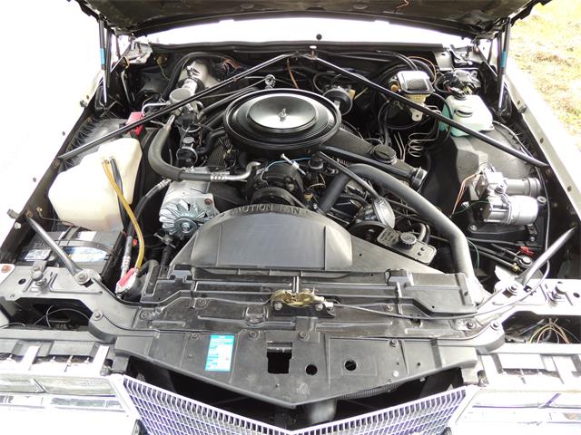 1985 Cadillac Eldorado Biarritz (CC-1044186) for sale in Land O Lakes, Florida