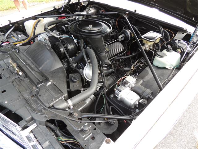 1985 Cadillac Eldorado Biarritz (CC-1044186) for sale in Land O Lakes, Florida