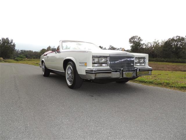 1985 Cadillac Eldorado Biarritz (CC-1044186) for sale in Land O Lakes, Florida