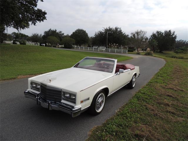 1985 Cadillac Eldorado Biarritz (CC-1044186) for sale in Land O Lakes, Florida