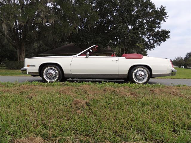 1985 Cadillac Eldorado Biarritz (CC-1044186) for sale in Land O Lakes, Florida