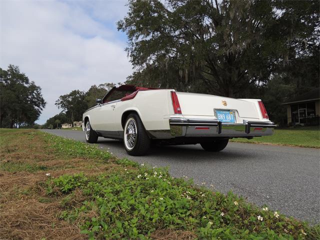 1985 Cadillac Eldorado Biarritz (CC-1044186) for sale in Land O Lakes, Florida