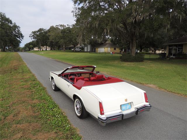 1985 Cadillac Eldorado Biarritz (CC-1044186) for sale in Land O Lakes, Florida