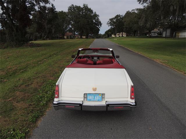 1985 Cadillac Eldorado Biarritz (CC-1044186) for sale in Land O Lakes, Florida