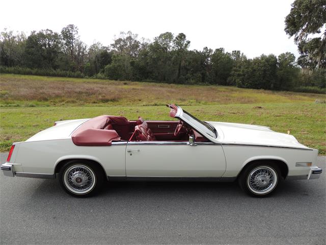 1985 Cadillac Eldorado Biarritz (CC-1044186) for sale in Land O Lakes, Florida