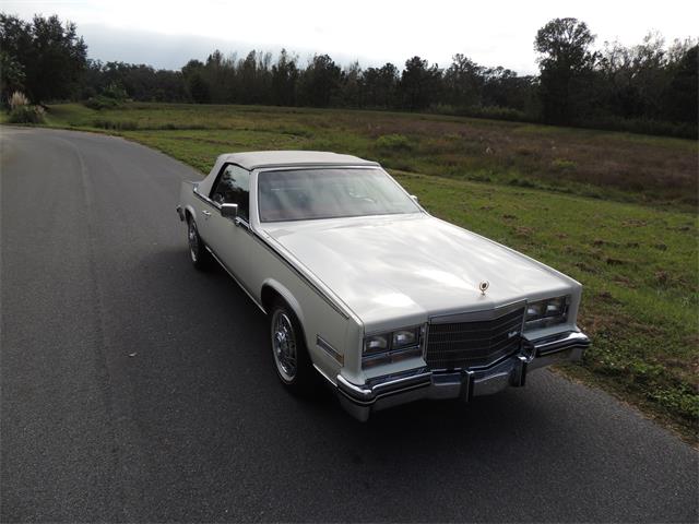 1985 Cadillac Eldorado Biarritz (CC-1044186) for sale in Land O Lakes, Florida
