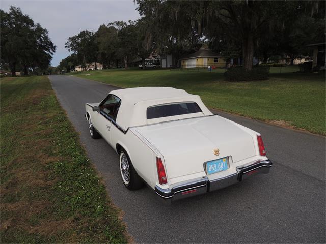 1985 Cadillac Eldorado Biarritz (CC-1044186) for sale in Land O Lakes, Florida