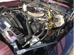 1980 Chevrolet Camaro Z28 (CC-1044873) for sale in Columbiana, Ohio