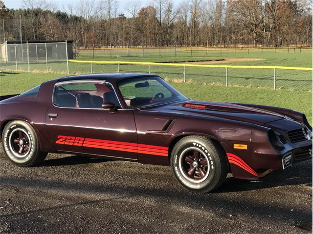 1980 Chevrolet Camaro Z28 (CC-1044873) for sale in Columbiana, Ohio