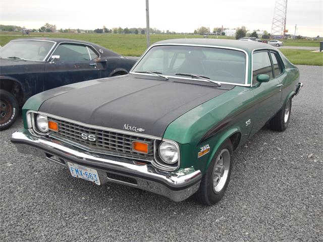 1973 Chevrolet Nova SS for Sale | ClassicCars.com | CC-1045195