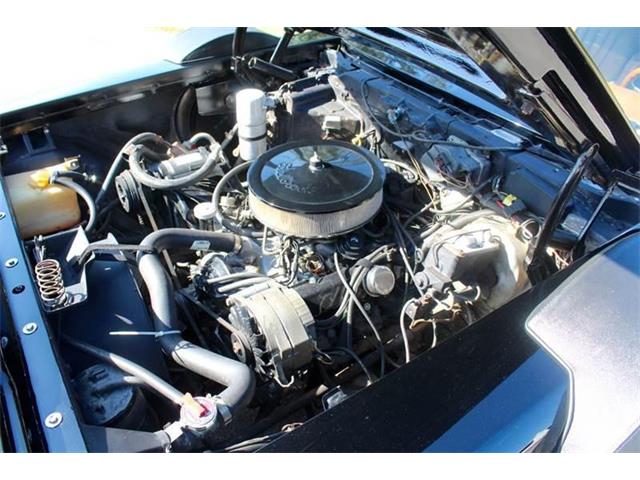 1979 Cadillac Seville (CC-1045234) for sale in Sarasota, Florida