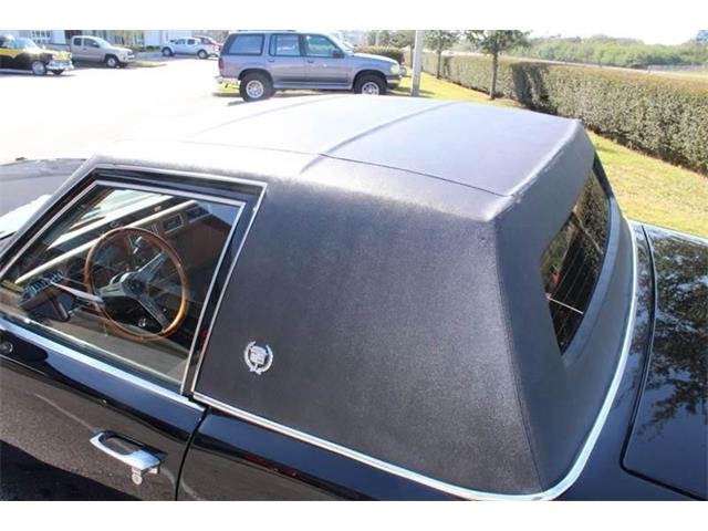 1979 Cadillac Seville (CC-1045234) for sale in Sarasota, Florida