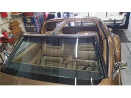 1982 Phillips Berlina (CC-1045631) for sale in Largo, Florida