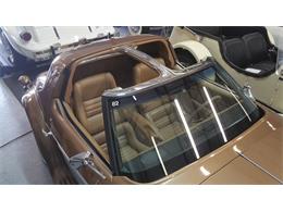 1982 Phillips Berlina (CC-1045631) for sale in Largo, Florida