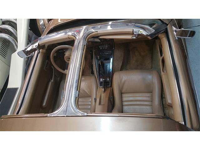 1982 Phillips Berlina (CC-1045631) for sale in Largo, Florida