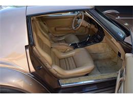 1982 Phillips Berlina (CC-1045631) for sale in Largo, Florida