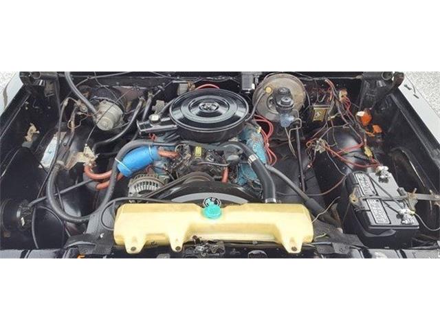 1979 Dodge D100 (CC-1046400) for sale in Punta Gorda, Florida