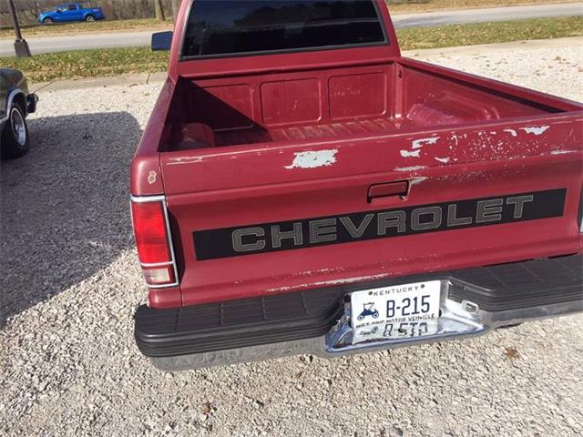 1991 Chevrolet S10 (CC-1047956) for sale in Paris , Kentucky