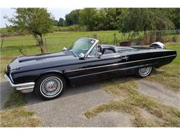 1964 Ford Thunderbird (CC-1048071) for sale in Scottsdale, Arizona
