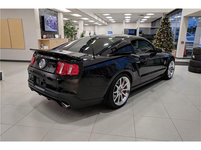 2010 Ford SHELBY GT500 SUPER SNAKE (CC-1048077) for sale in Scottsdale, Arizona