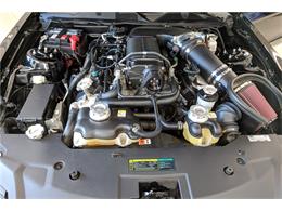 2010 Ford SHELBY GT500 SUPER SNAKE (CC-1048077) for sale in Scottsdale, Arizona