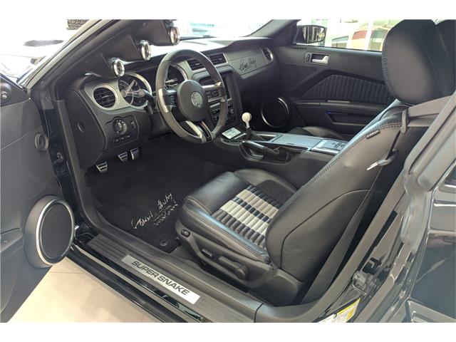2010 Ford SHELBY GT500 SUPER SNAKE (CC-1048077) for sale in Scottsdale, Arizona