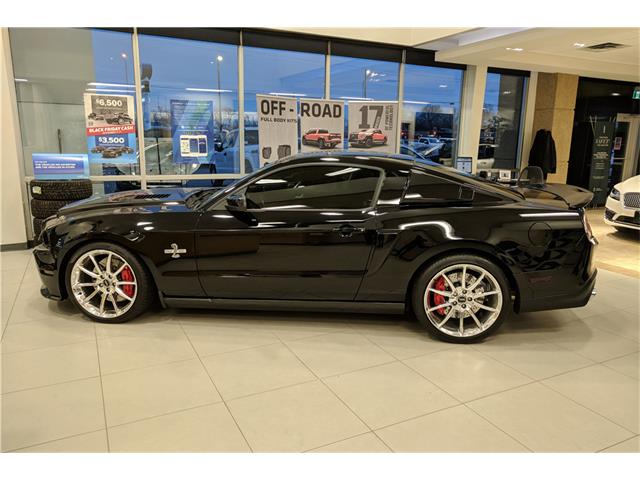 2010 Ford SHELBY GT500 SUPER SNAKE (CC-1048077) for sale in Scottsdale, Arizona